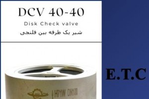 Disk Check Valve DCV 40-40