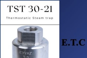 Thermostatic Steam Trap TST 30-21