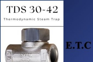 Thermodynamic Steam Trap type TDS 30-42