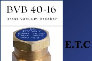 Brass Vacuum Breaker type BVB 40-16