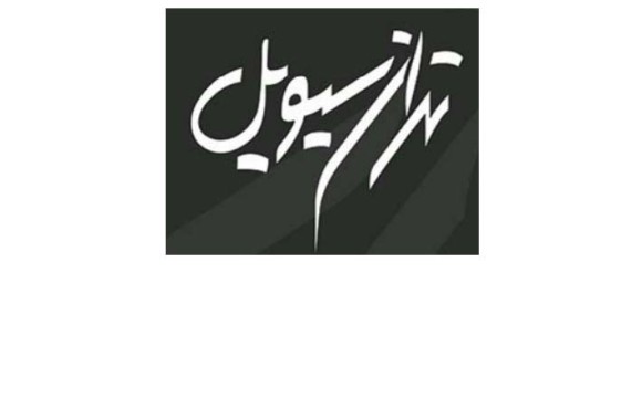 تولید شیر فشارشکن PCV Type 4123 جهت صدا و سیما